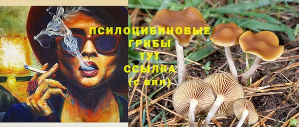 Альфа ПВП Абинск