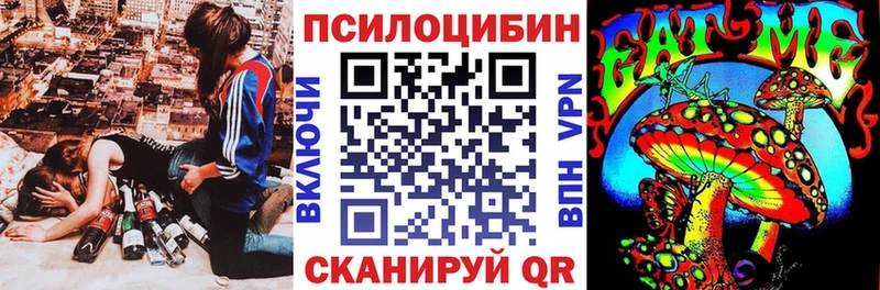 как найти закладки  Туапсе  Галлюциногенные грибы прущие грибы 