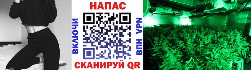 купить наркоту  Туапсе  Бошки Шишки Ganja 